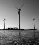 Photogallery -SILTA  2/2000