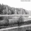 Vuosaaren Natura-aluetta