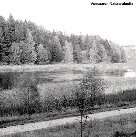  Vuosaaren Natura-aluetta