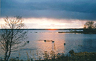 11.jpg 118190 bytes