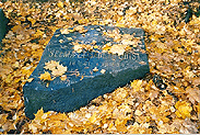 28.jpg 120228 bytes